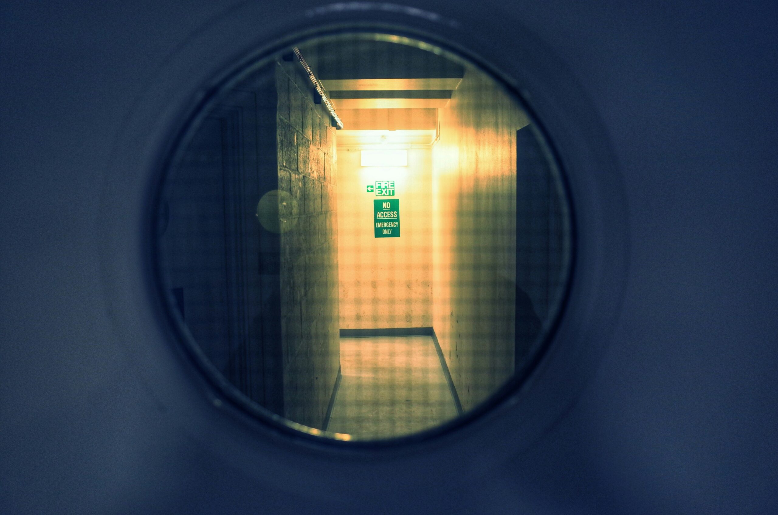 The Quantified Self in 2026: How Biometric Data is Revolutionizing Personal Finance and Physical Performance